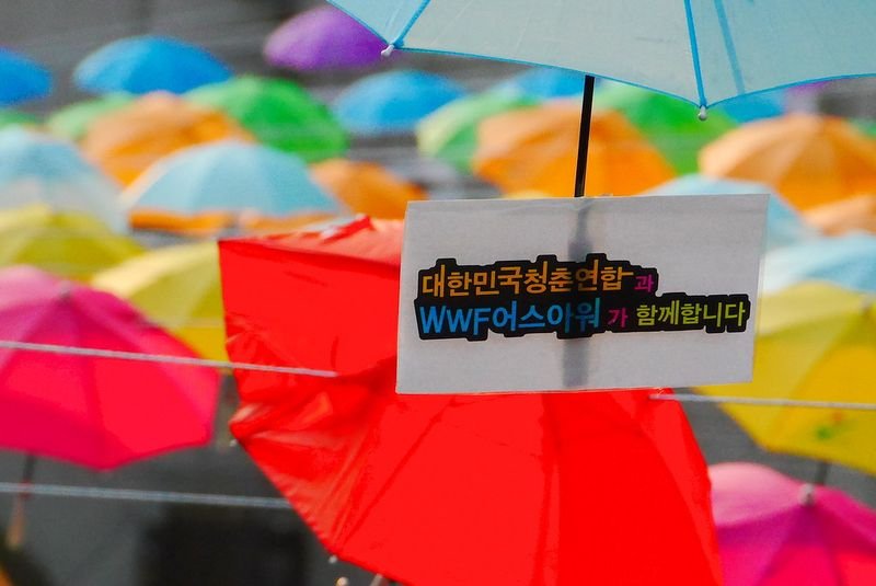 resources of RST Aluminium Alloy Straight Umbrella exporters