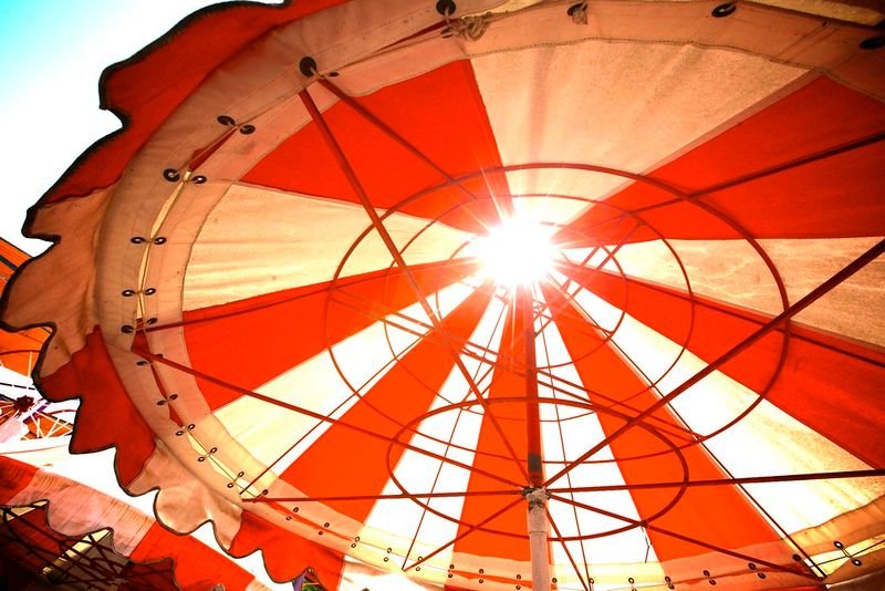 resources of Auto Open & Auto Close Umbrella exporters