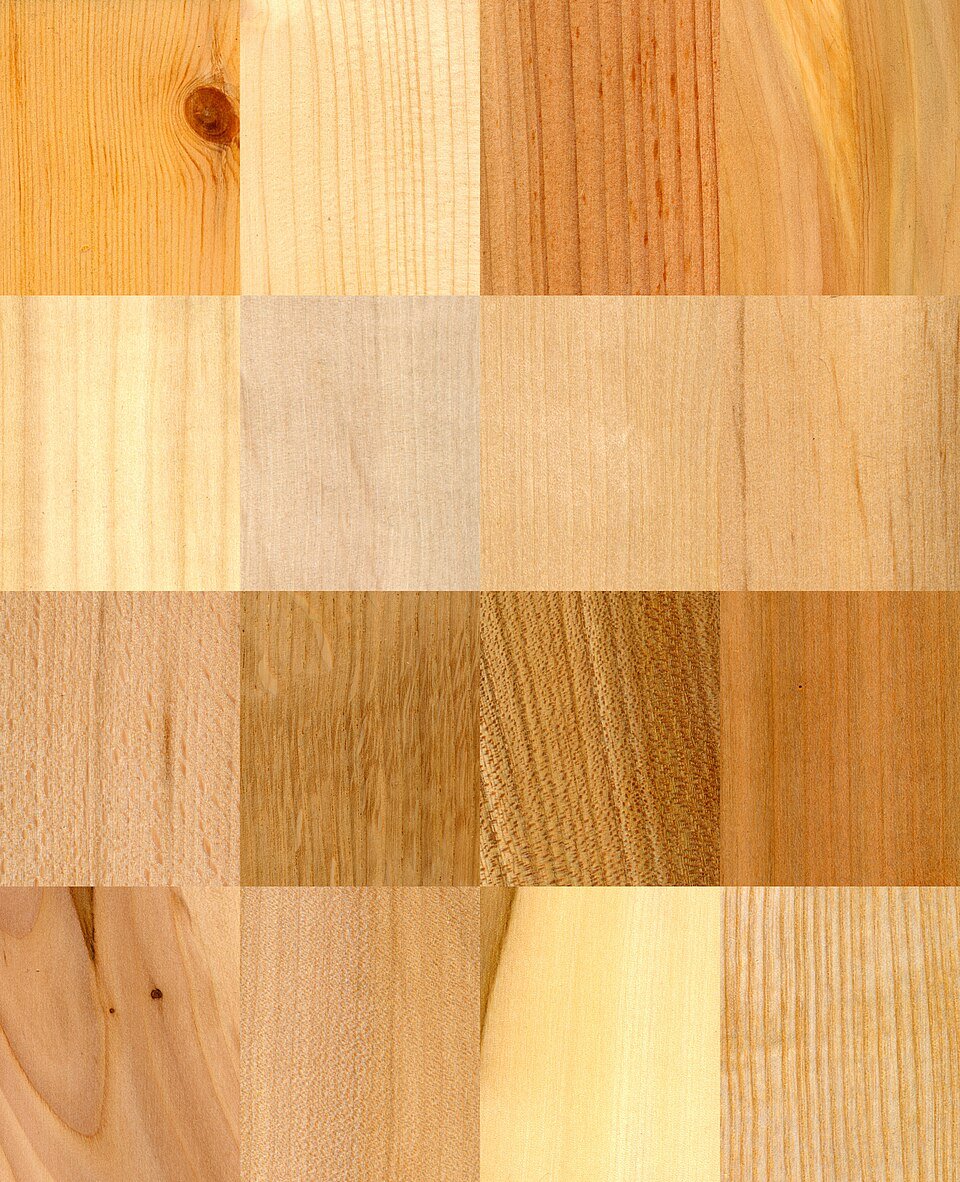 Ash Wood Exporters, Wholesaler & Manufacturer | Globaltradeplaza.com