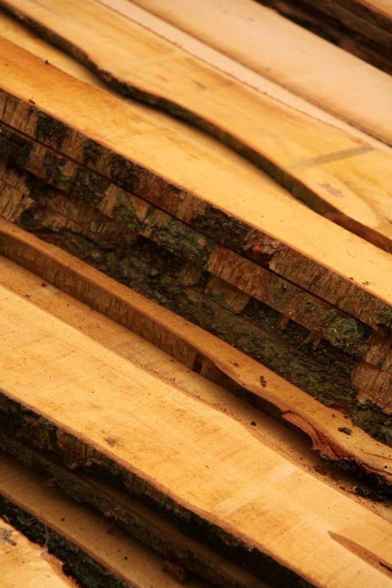 resources of Natural Vietnamese Chips Agarwood exporters