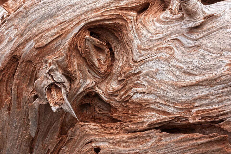 resources of Super Agarwood exporters