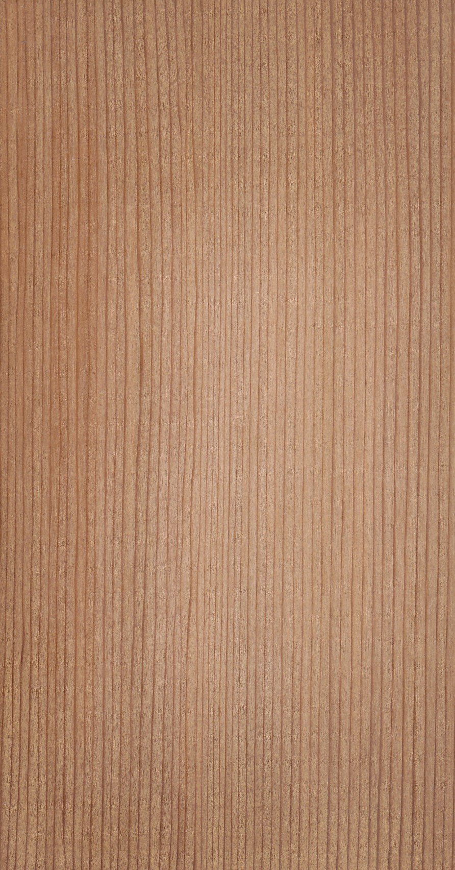resources of Woods : Soft Wood exporters