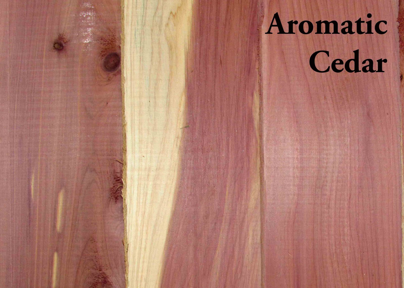 resources of Sapele, Iroko, Mussivi, Red Eucalyptus Timber exporters