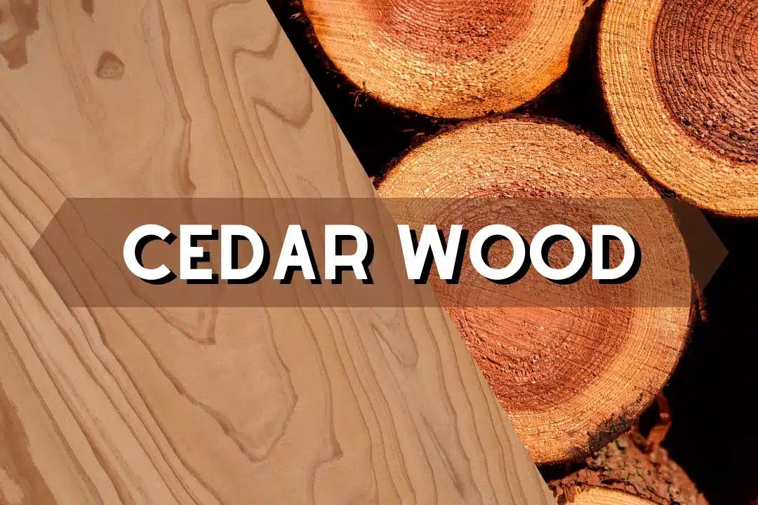 resources of Agar Wood Products exporters