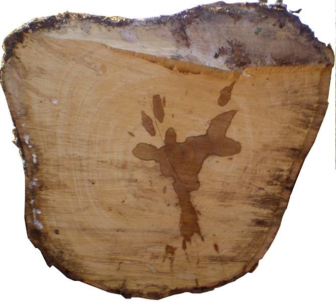 Rubber Woods Exporters, Wholesaler & Manufacturer | Globaltradeplaza.com