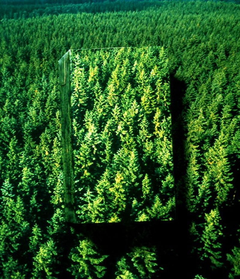 resources of Best Quality Spruce, Oak, Beech and Pine Wood Pellets exporters resources of Best Quality Spruce, Oak, Beech and Pine Wood Pellets exporters