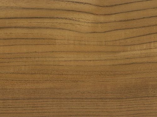 resources of Teak wood exporters