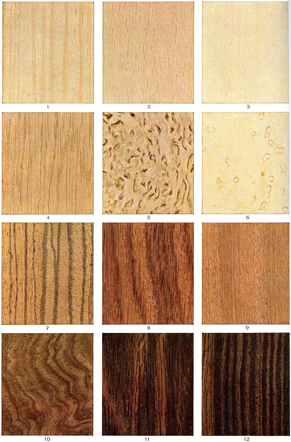 Veneer Exporters, Wholesaler & Manufacturer | Globaltradeplaza.com