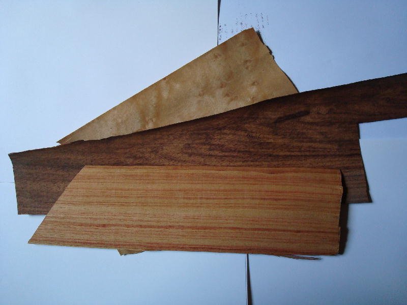 resources of Elliotis And Taeda Pinewood Veneer exporters