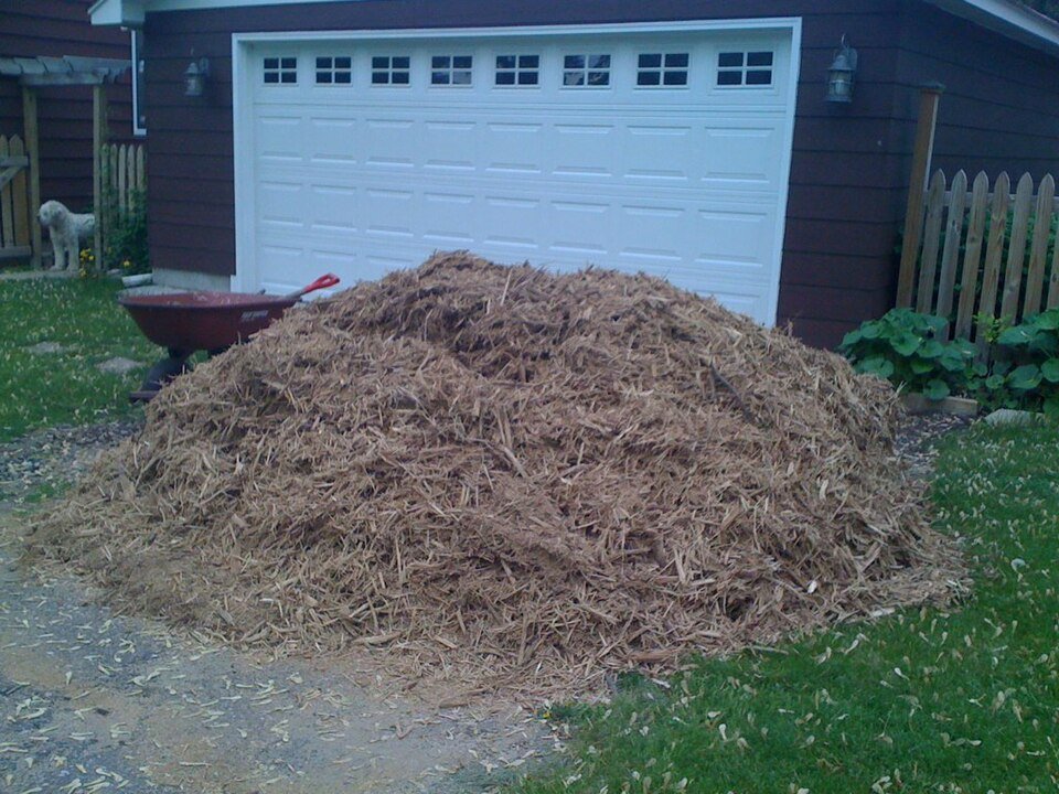 resources of Wood Chips exporters