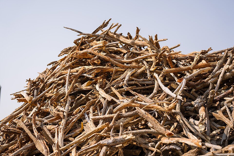 resources of Wood chips exporters