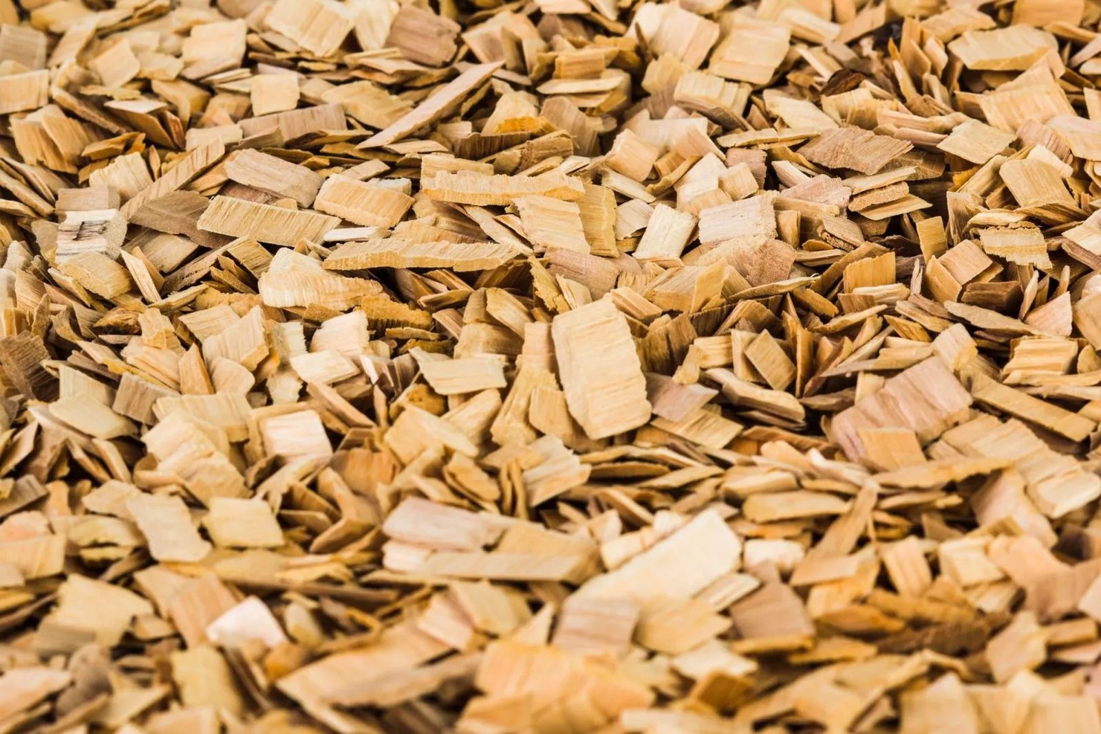 resources of Wood chip exporters