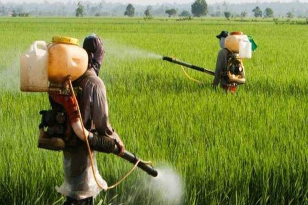 resources of Agro intermediates exporters