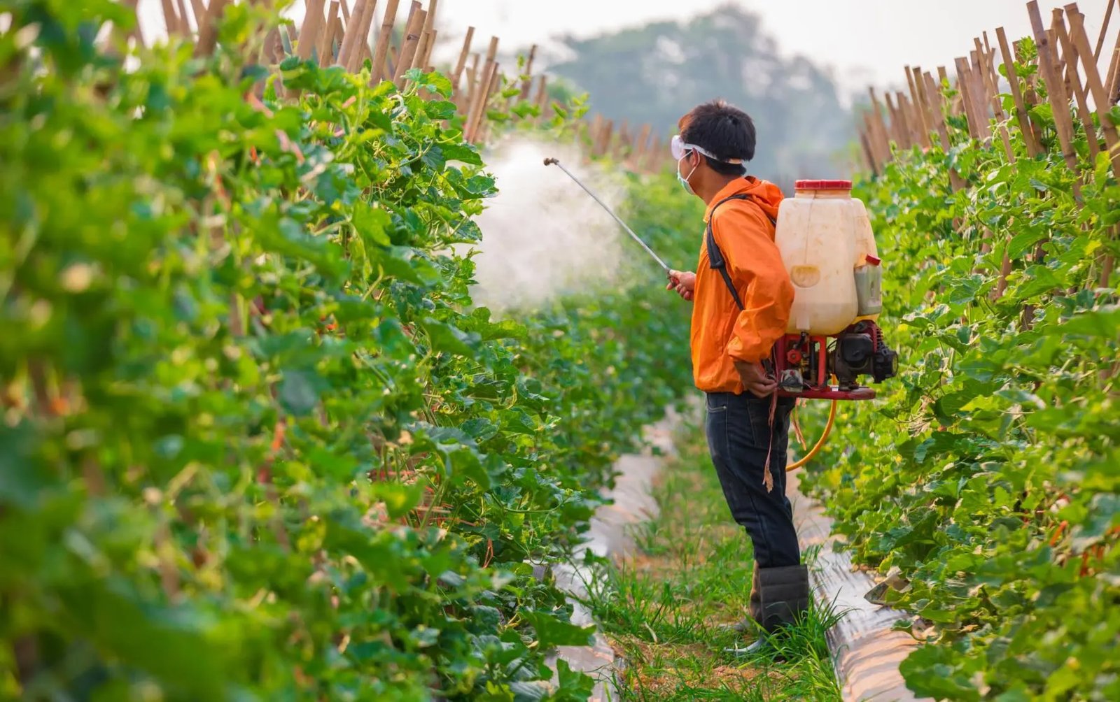 resources of Pesticides exporters