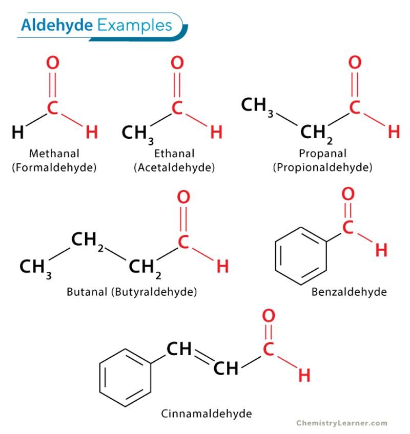 resources of Biocide Gluter Aldehyde Type exporters