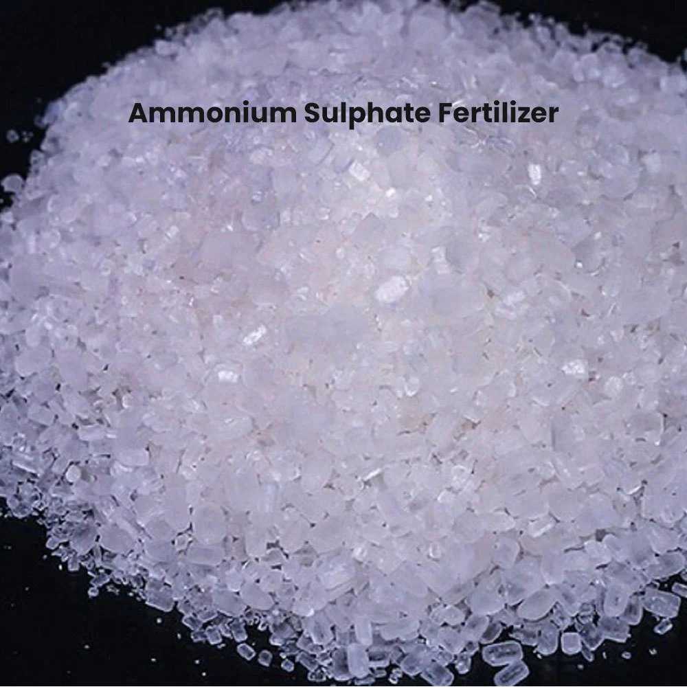 resources of Super Scouring Agent Super Alkali-Resistant exporters