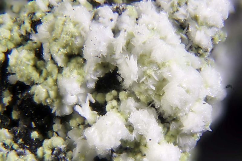 resources of Ammonium sulphate exporters