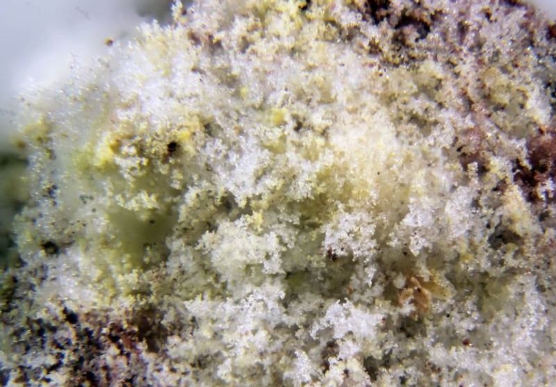 resources of Olivine Sand exporters