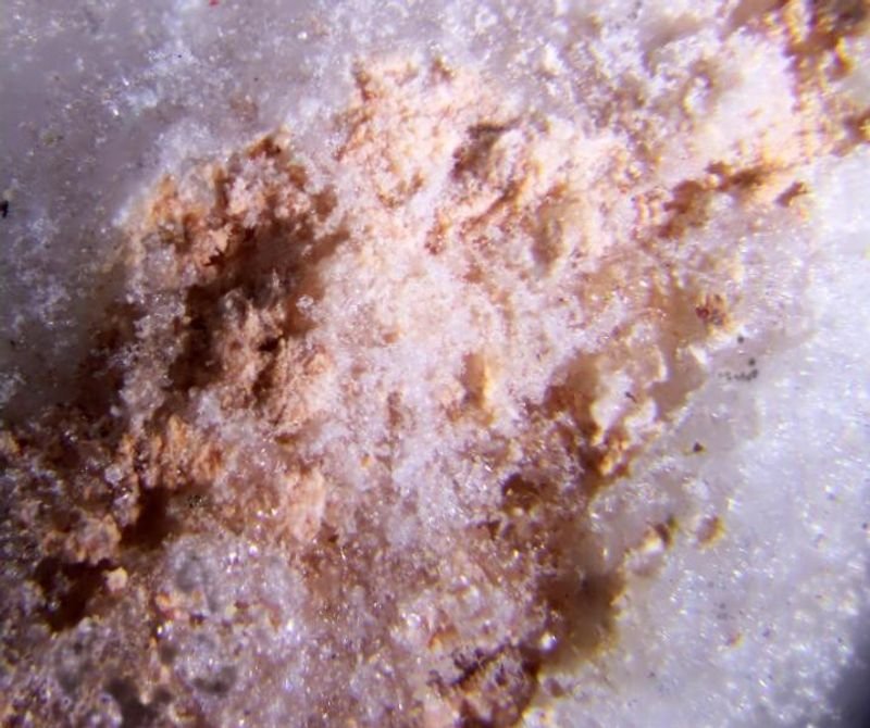 resources of Polyferric Sulfate (PFS) exporters