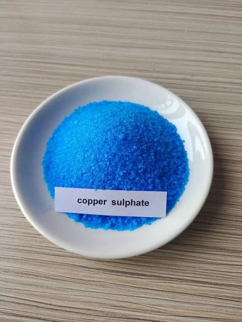 resources of Vinyl Acetate CopolymersÂ MLC-20 exporters