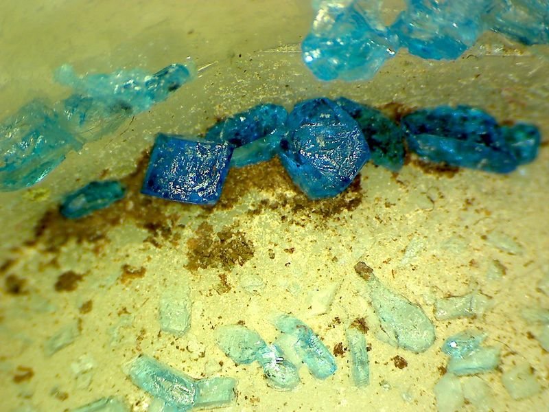resources of Wet Blue Split exporters resources of Wet Blue Split exporters