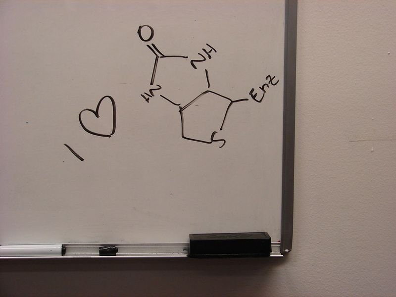 resources of Black board exporters
