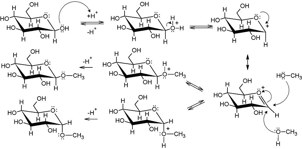 Glycoside Exporters, Wholesaler & Manufacturer | Globaltradeplaza.com