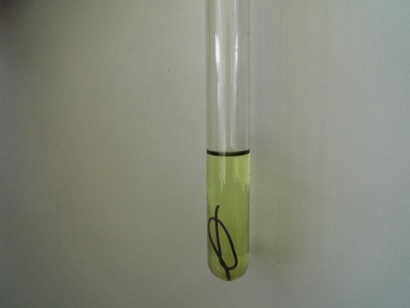 resources of Test Tube with Rim 3ml to 70ml exporters