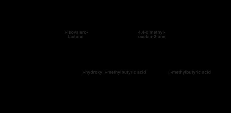 resources of Hydrogen Peroxide exporters