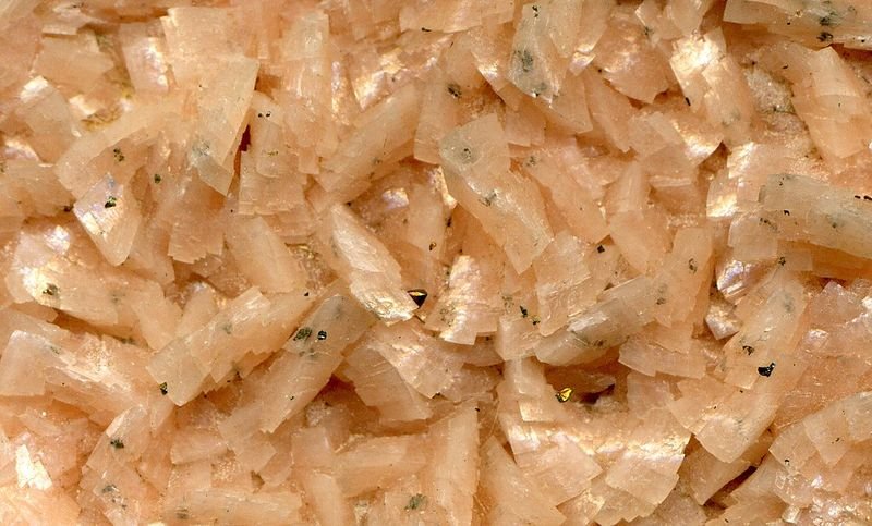 resources of Fried Onion Flakes exporters