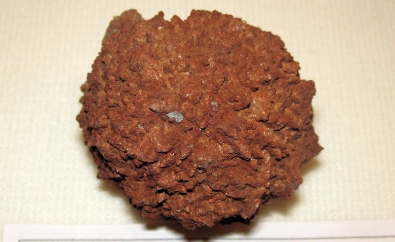 resources of Coco Peat Disc exporters