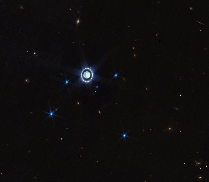 resources of Orion exporters