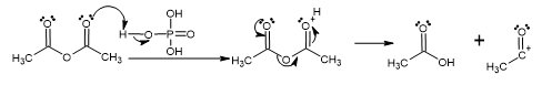 resources of Phosphoric Acid exporters