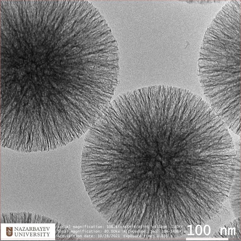 resources of Dia-burs exporters