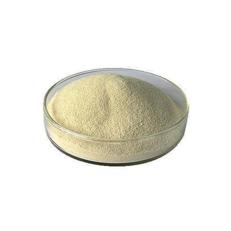 resources of Enzymes For Bread Improver Glucose Oxidase Go101 exporters