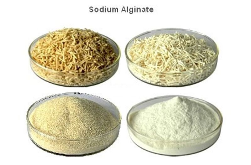 resources of Egyptian Spagete 500 gram brand (SUPER Q) High quality pasta - ISO 9001 & Halal certifications exporters