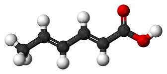 resources of Polypeptone exporters
