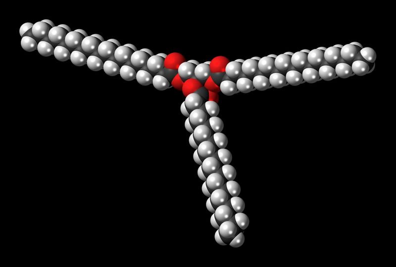 resources of Stearate exporters