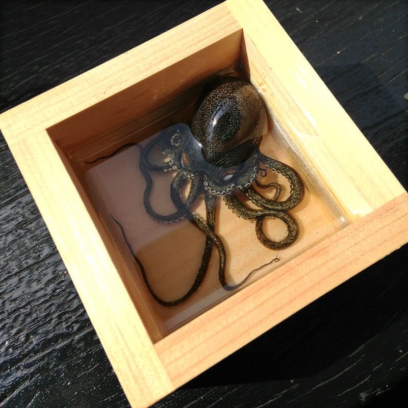 resources of Small Keepsake Box - Etched Laser exporters