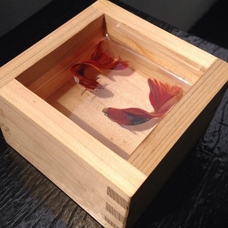 resources of Wooden Soap Tray exporters