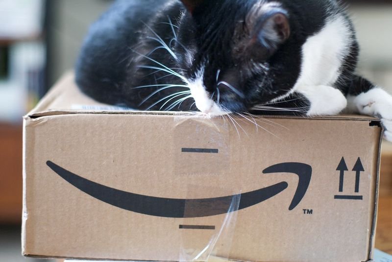 resources of AMAZON OVERSTOCK exporters