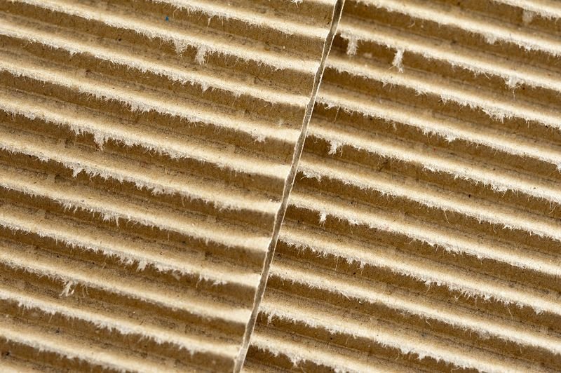 resources of Three bristle lines exporters