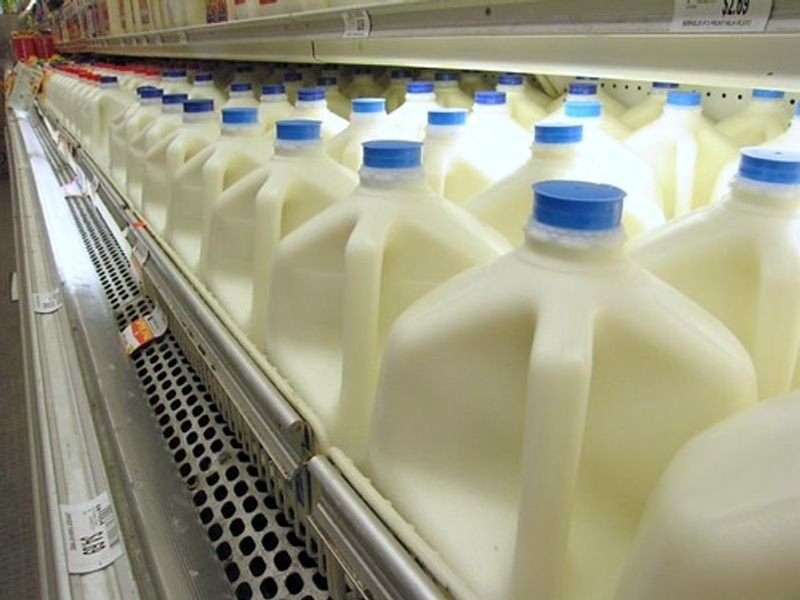 resources of Promilk 80 exporters