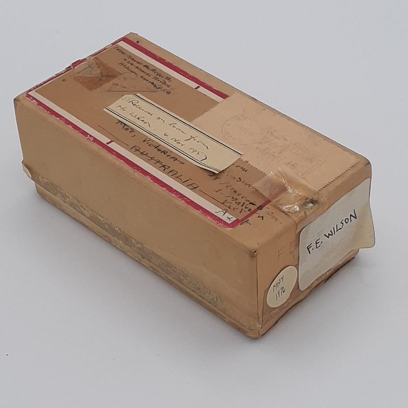 resources of Charcoal Cartoon ( Box ) exporters
