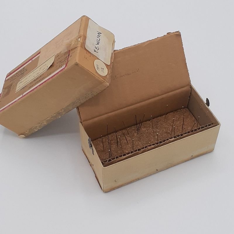 resources of Wax coated old carrugated cases exporters