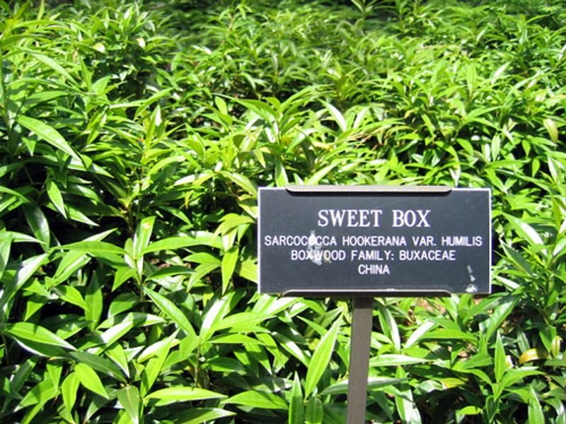 resources of Sweeter exporters