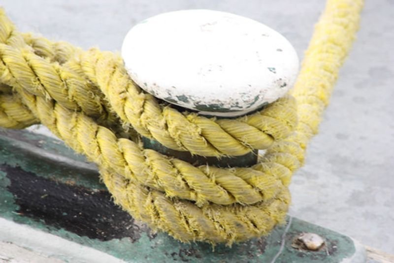resources of Four Rope Control Grab exporters