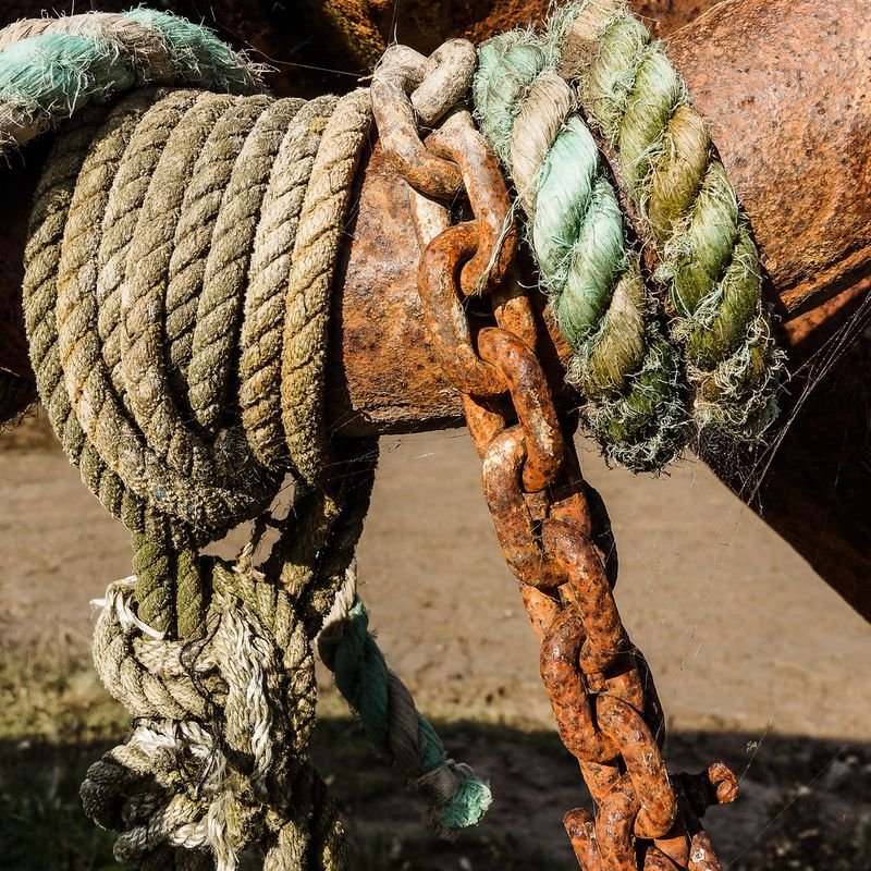 resources of Endurance Bridle Set With Breastplate Green exporters
