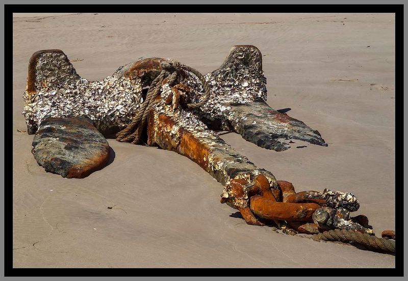 resources of Seals exporters