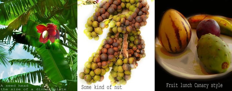 resources of Soja NON GMO Brazil exporters resources of Soja NON GMO Brazil exporters
